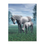 Mare and Foal Post Cards