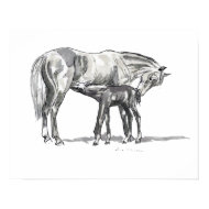 Mare and Foal print