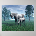 Mare and Foal posters