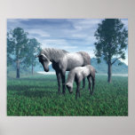 Mare and Foal posters