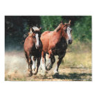 Mare and foal print print