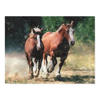 Mare and foal print print