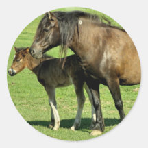 Mare and Foal Sticker