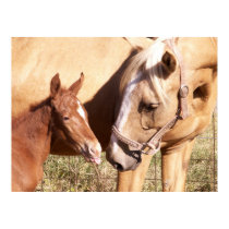 Mare and October Foal posters by SafireLady Mare and October Foal posters