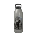 Mare & Colt Gifts water bottles