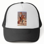 Mare & Filly hats