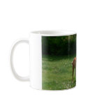 Mare & Foal Running Mug