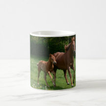 Mare & Foal Running Mug