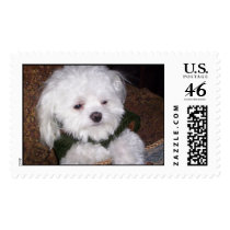 Marelli postage by sandpiper09211 Marelli postage