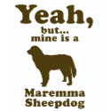 Maremma Sheepdog t-shirts by Pawdboy Maremma Sheepdog t-shirts