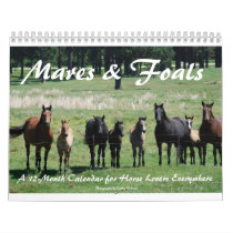 Mares & Foals 2009 Calendar