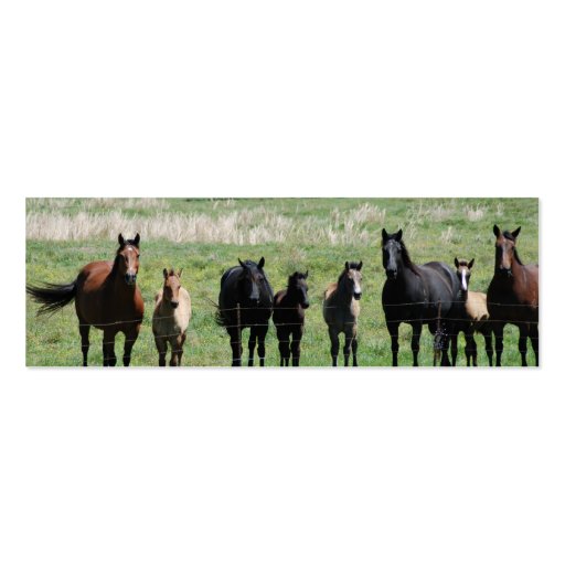 "Mares & Foals" Bookmark Business Card Template (front side)
