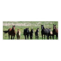 "Mares & Foals" Bookmark Business Card Template
