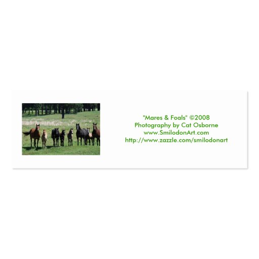 "Mares & Foals" Bookmark Business Card Template (back side)