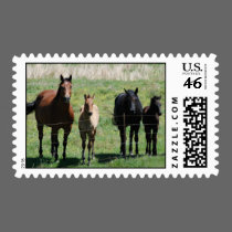 Mares & Foals Postage postage by smilodonart Mares & Foals Postage postage