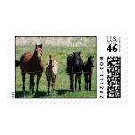 Mares & Foals Postage postage