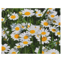 Margaret flowers full color flyer
