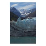 Margerie Glacier Alaska Poster