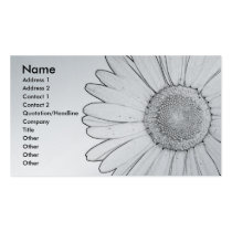 margherita business cards