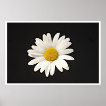 marguerite print