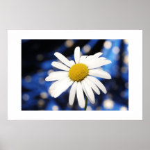 marguerite print