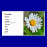 Marguerite-wild-flower426 WILDFLOWERS DAISY  SPRIN business cards