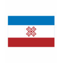 Mari El Republic Flag t-shirts
