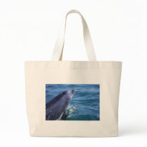 maria bags