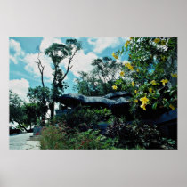 Maria Farinha, State of Pernambuco, Brazil  flower Poster