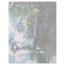Maria Farinha, State of Pernambuco, Brazil Letterhead Design