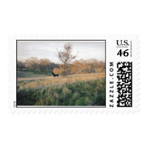 Maria postage by kougra321 Maria postage