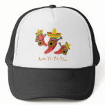 Mariachi Hat