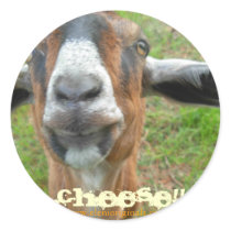 Mariah the Goat, "ChEeSe!!!" sticker by Elenimou Mariah the Goat, "ChEeSe!!!" sticker