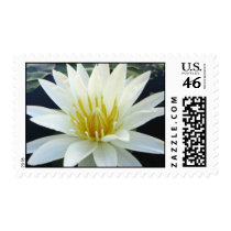 Marian Strawn postage