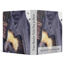 Mariana Fruit Bat binders by animalpark Mariana Fruit Bat binders