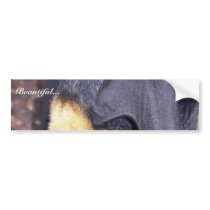 Mariana Fruit Bat Bumper Sticker