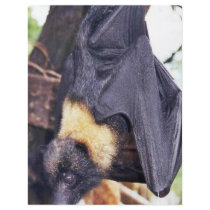 Mariana Fruit Bat Custom Flyer