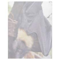 Mariana Fruit Bat Letterhead Template