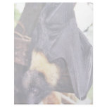 Mariana Fruit Bat letterhead