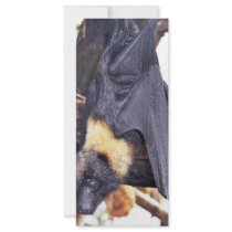 Mariana Fruit Bat Custom Rack Cards