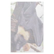 Mariana Fruit Bat stationery