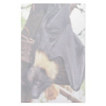 Mariana Fruit Bat Custom Stationery
