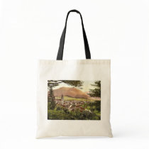 Mariazell, general view, Styria, Austro-Hungary ma Bag