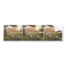 Mariazell, general view, Styria, Austro-Hungary ma Bumper Sticker