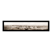 Maricopa CA Oil Town Photo 1911 posters