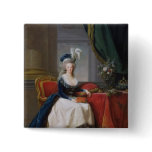 Marie-Antoinette  1788 Pins