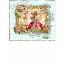 Marie Antoinette Versailles French Party Print t-shirts