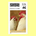 Marigold & Beck the Chickens postage