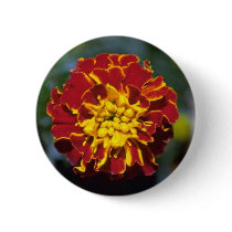 Marigold Pinback Button