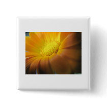 Marigold Pins